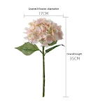 miniatures image - 1