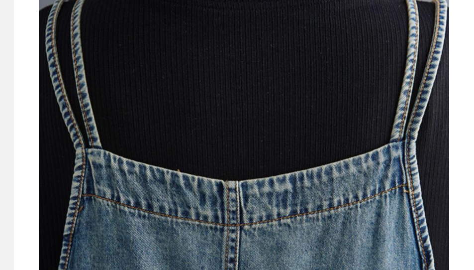 Title 8, Fat Sister Summer Cowboy Suspenders Casual, the...