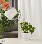 Stainless Steel Long Spout Watering Kettle. Precise pour control for coffee and tea, durable construction, perfect for y — photo 9