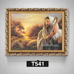 T541