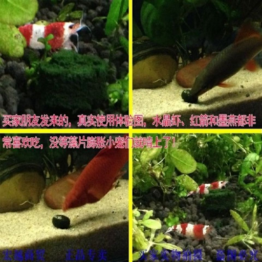 product image - 5