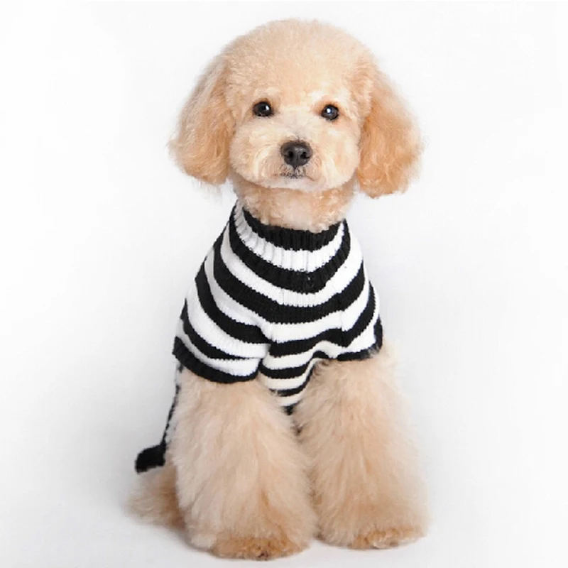 Title 12, Ropa navideña para mascotas