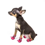 miniatures image - 1