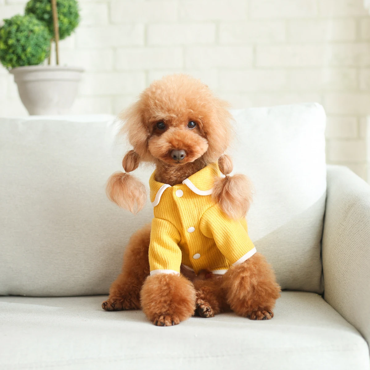Dog And Cat Doll Collar Fleece Warm Sweater Cozy and Comfortable Clothing Protects from Cold Provides Style and Warmth f — photo 3