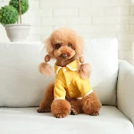 Dog And Cat Doll Collar Fleece Warm Sweater Cozy and Comfortable Clothing Protects from Cold Provides Style and Warmth f — photo 3