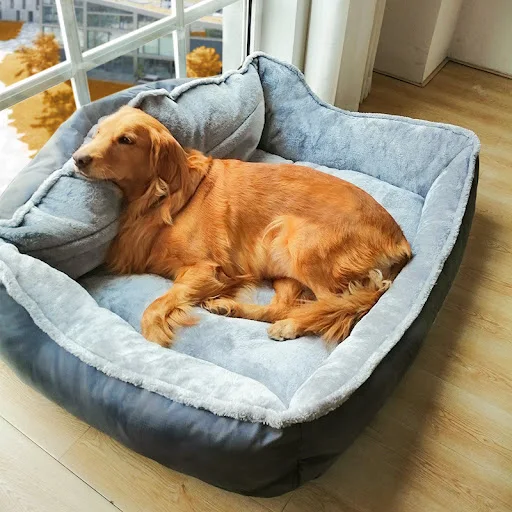 Title 1, Golden Retriever dog sofa for ultimate comfort ...