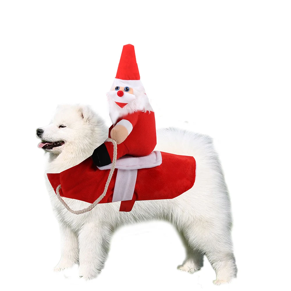 Title 5, Dog Clothes — Dress your best friend in style a...