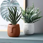 Vaso de cimento resistente para flores e plantas, ideal para jardim e varanda. Adicione estilo moderno à sua casa com este vaso durável e elegante para plantio. — foto 12