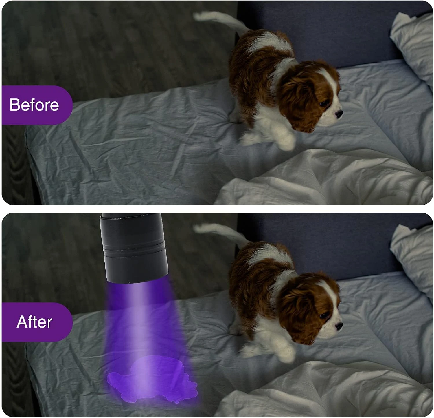 product image - 10