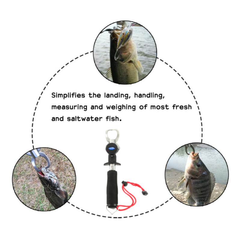 Alicate Luya de aço inoxidável para controle de peixes com fivela dupla. Ferramenta essencial para pesca e manuseio seguro, ideal para pescadores. — foto 6