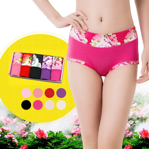 Title 6, Womens Modal Underwear Mid-Waist Cotton Super ...