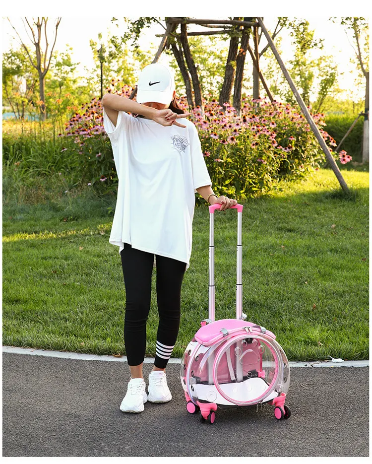 Title 27, Small Handbag Cats Carriers Transportin Outdoor...