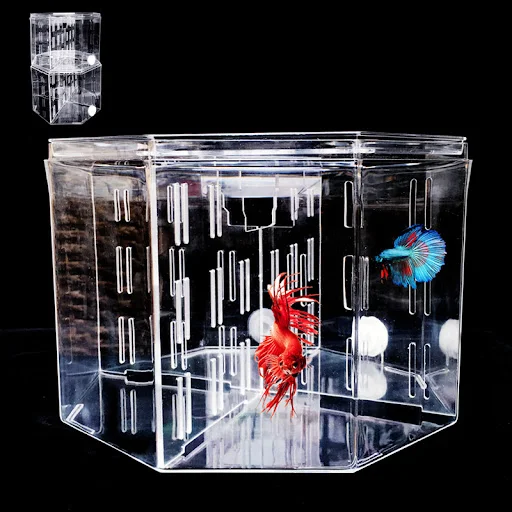 Desktop Betta Fish Tank Acrylic Isolation Box Fish Tank Ornamental Aquarium Breeding Box Office Decoration — photo 3