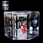 Desktop Betta Fish Tank Acrylic Isolation Box Fish Tank Ornamental Aquarium Breeding Box Office Decoration — photo 3