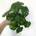 miniatures image - 15