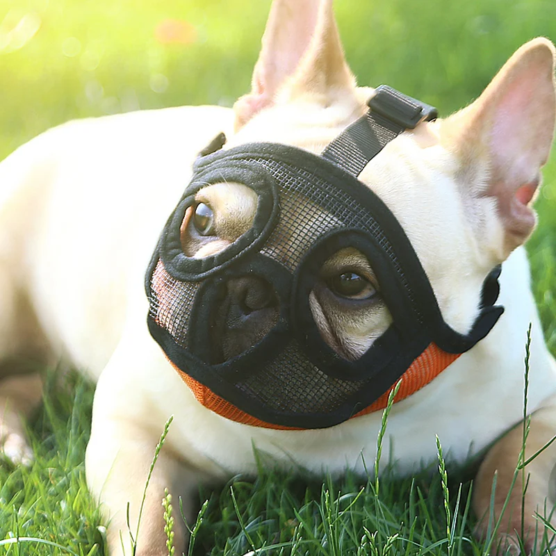 Hoopet Pet Small Dog French Bulldog Muzzle Basket. Breathable design for comfort and safety. Ideal for leash and harness — photo 11