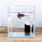 miniatures image - 0