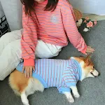 Hundekleidung, Pullover, neuer Haustierbesitzer, Eltern-Kind-Bekleidung — foto 5