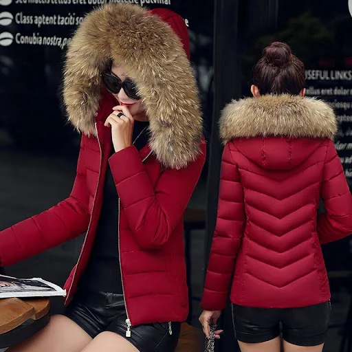 Title 6, Slim cotton padded jacket and down jacket offer...