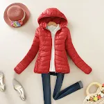 miniatures image - 1
