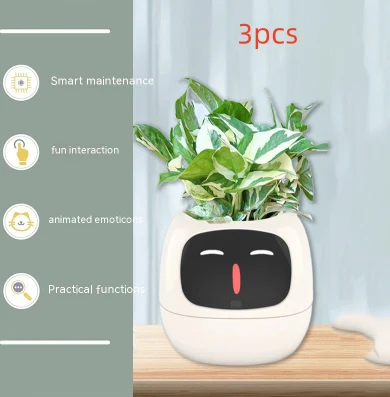 product image - 31