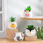 1PC Creative Cartoon Animal Ceramic Plant Pots Mini Flower Pot for Plants, Great for Home and Office Decoration adding C — photo 5