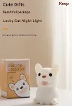 Small Night Lamp English