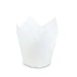 Tulip cake cup white
