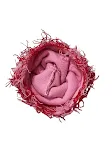 miniatures image - 1
