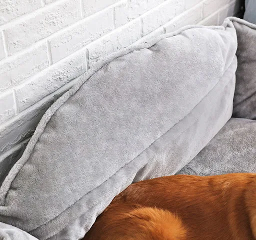 Title 5, High back waterproof inset doghouse