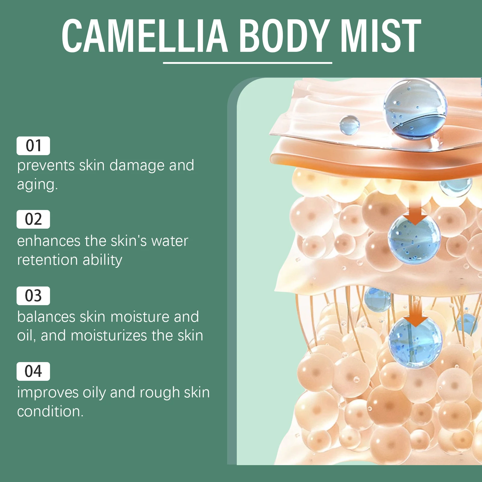 Lotion Corporelle Camélia Soin Rafraîchissant pour la Peau Hydratation et Revitalisation. Adoucit et nourrit, laissant la peau fraîche et éclatante pour votre confort. — photo 2