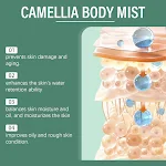 Lotion Corporelle Camélia Soin Rafraîchissant pour la Peau Hydratation et Revitalisation. Adoucit et nourrit, laissant la peau fraîche et éclatante pour votre confort. — photo 2