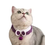 miniatures image - 0