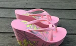 Dragonfly pink