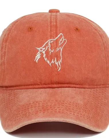 Image product - 3