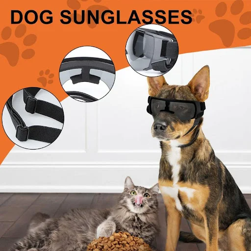 Dog Goggles UV Protection For Small To Medium Breed Dog Sunglasses Windproof Anti-Fog Dustproof Snowproof Glasses For Ou — photo 3