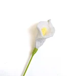 miniatures image - 1