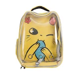 Transparent Pet Backpack Cat Bag Breathable Space Capsule Cat Carrier Bag Backpack for Cat Transport Portable Pet Carrie — photo 4
