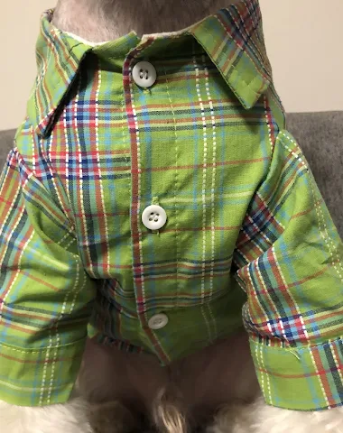 Image product - 1