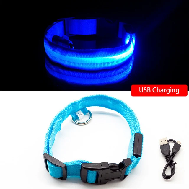 Title 1, Rechargeable LED Dog Collar — Enhanced night vi...
