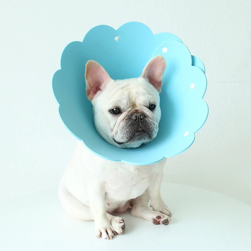 Sunflower Modeling Pet Protection Collar Anti-Licking Head Cover for preventing pets from licking wounds and providing p — photo 6