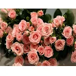 5D Elmas Boyama Rosa Rosen DIY Kiti, Parlak Sanat Yaratın, Rahatlatıcı El İşi, Ev Dekorasyonu, Tam Matkap, Kolay Çerçevelenir. — Fotoğraf 2
