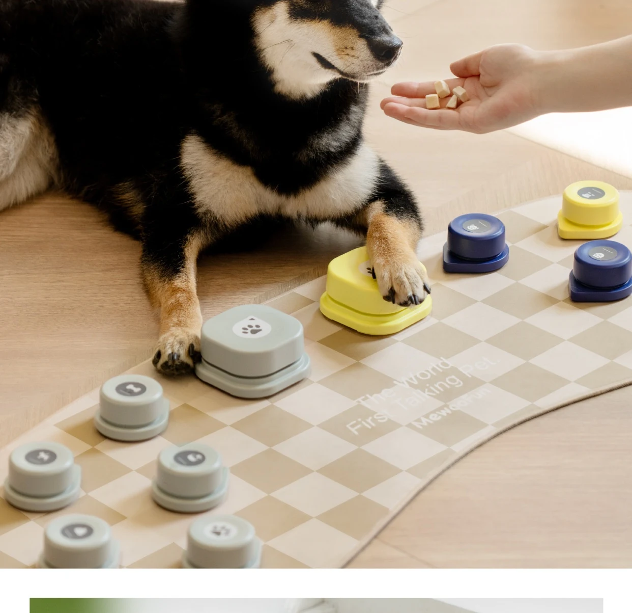 Title 6, Small Pet Talking Button with Voice Recording, ...