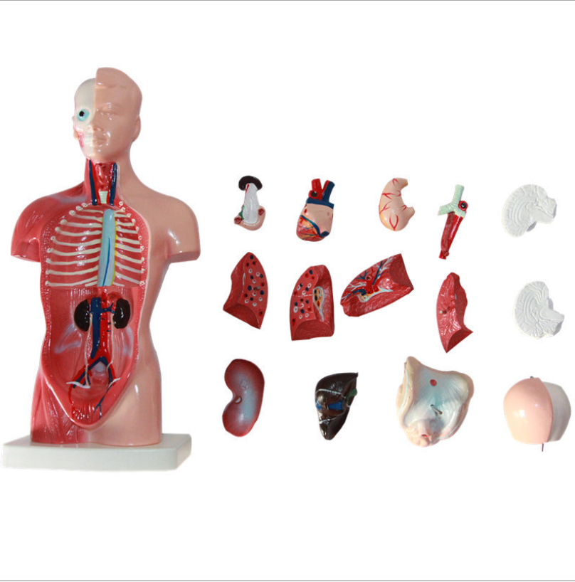 product image - 1