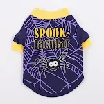 Black Spider