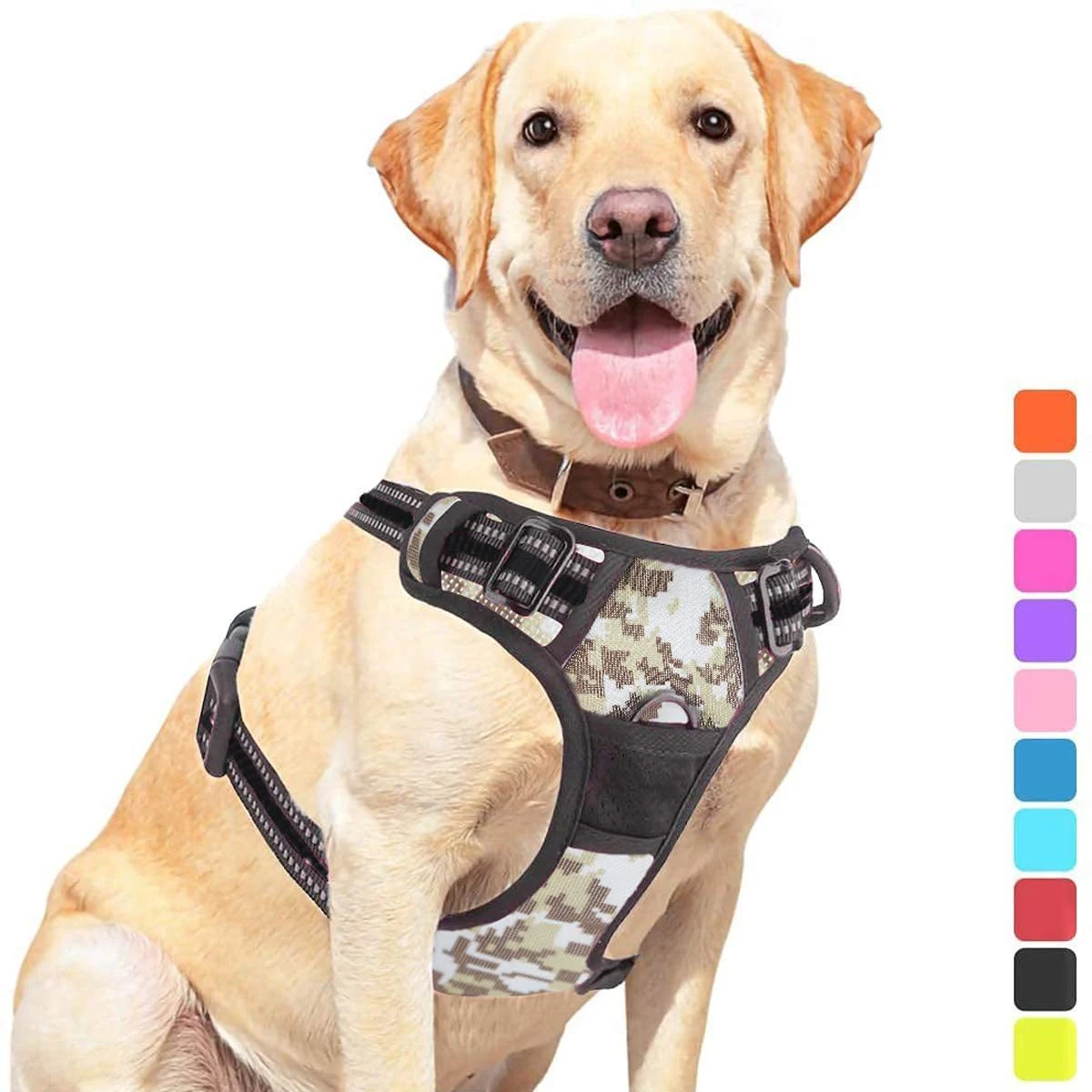 Title 8, Pet Dog Hand Holding Rope Chest Strap Safe and ...