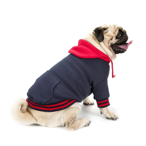 Title 1, High-end pet clothes color matching sweater wit...
