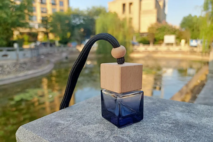 Title 7, Car Empty Perfume Bottle Pendant Hollow Refilla...