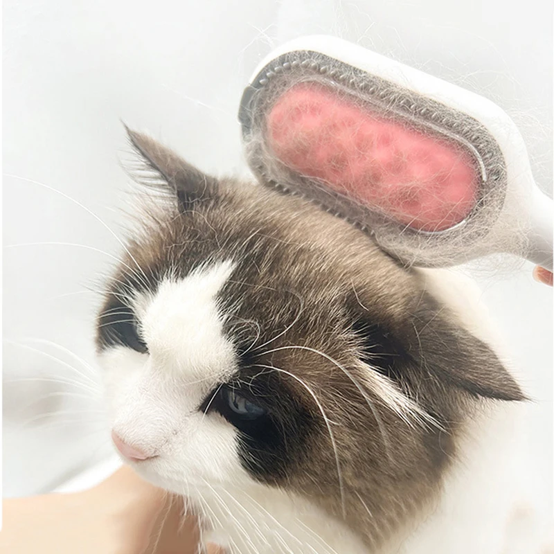 Title 4, Pet Products Double Sided Hair Removal Brushes ...