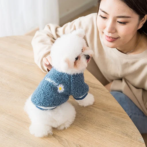 Title 4, Dog feet embroidered warm Teddy coat, a soft an...